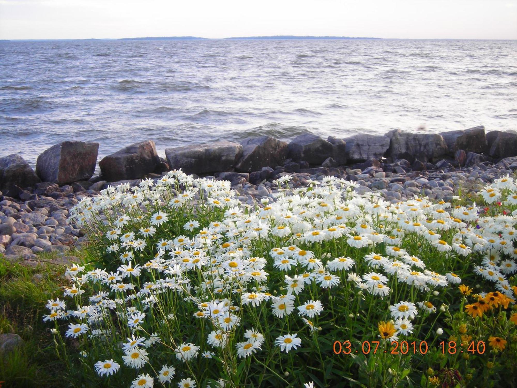 Lakeshore Suites North Bay Buitenkant foto